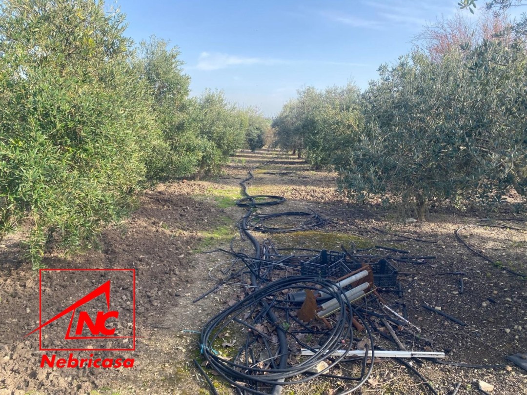 Parcela en Las Cabezas de San Juan Terreno Rústico