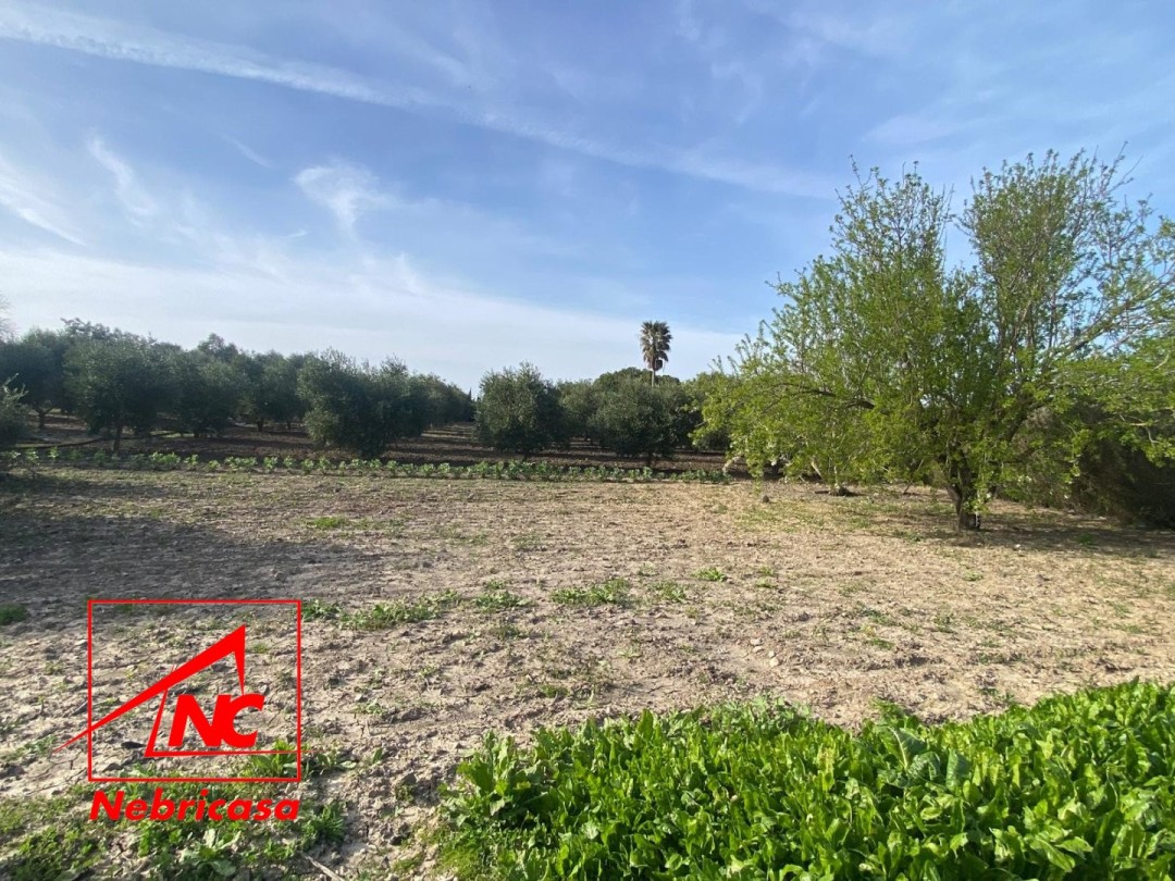 Parcela en Las Cabezas de San Juan Terreno Rústico