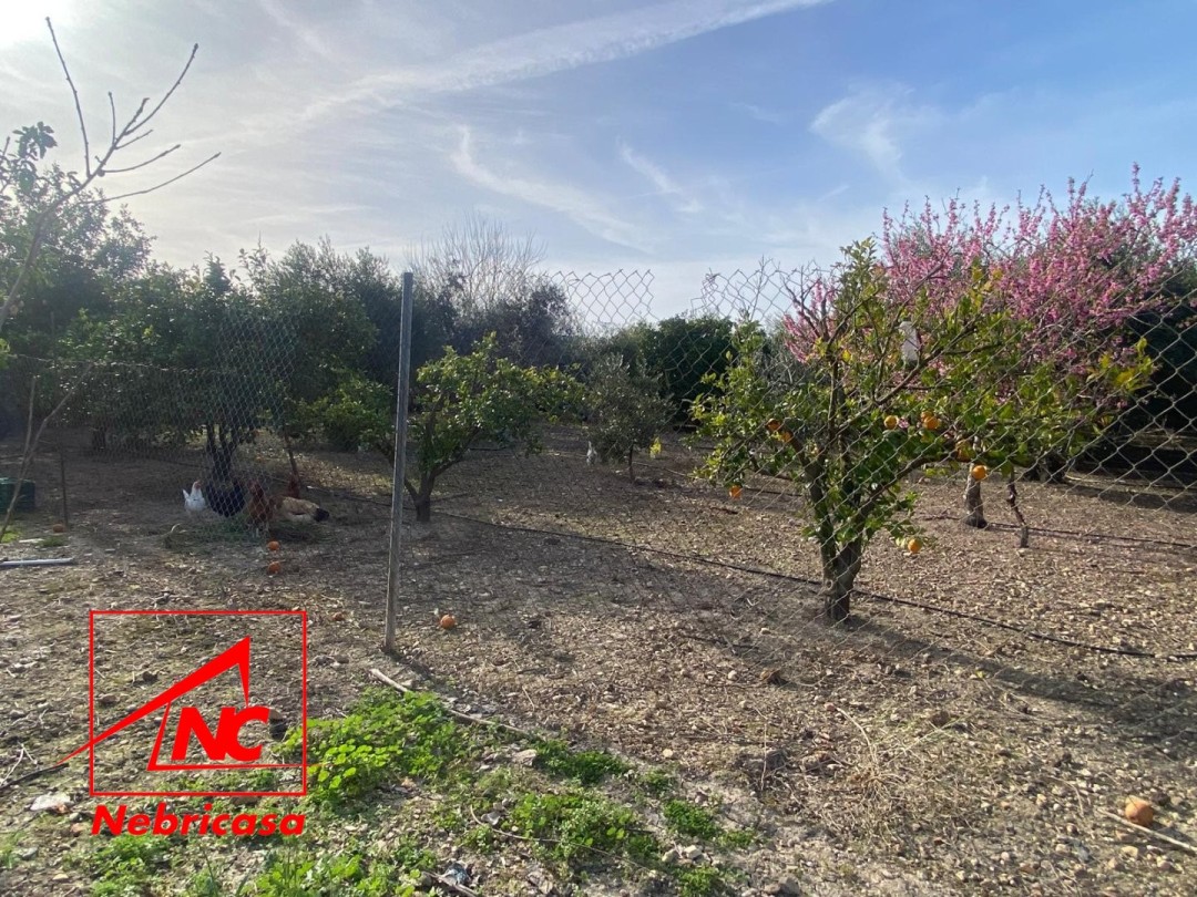 Parcela en Las Cabezas de San Juan Terreno Rústico