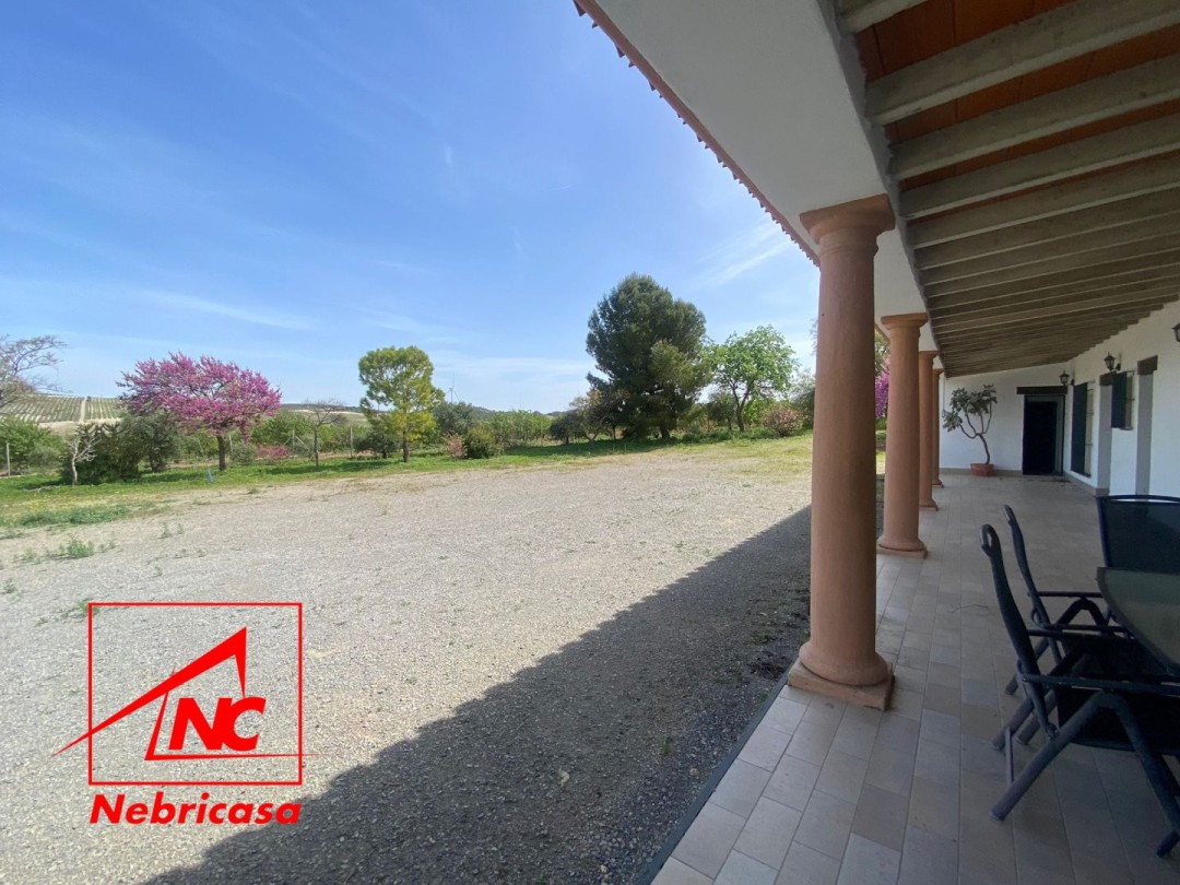 Finca en El Cuervo de Sevilla El Cubo