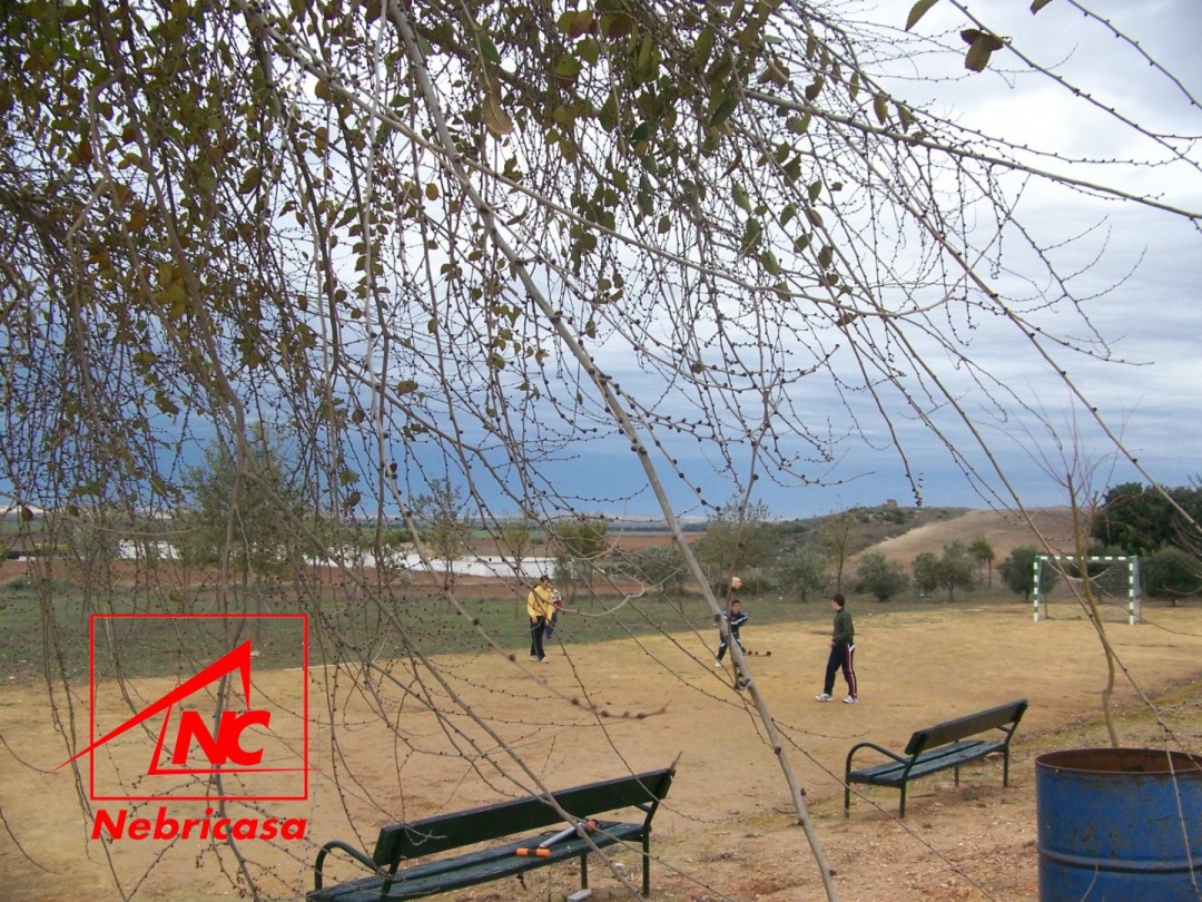 Finca en El Cuervo de Sevilla El Cubo