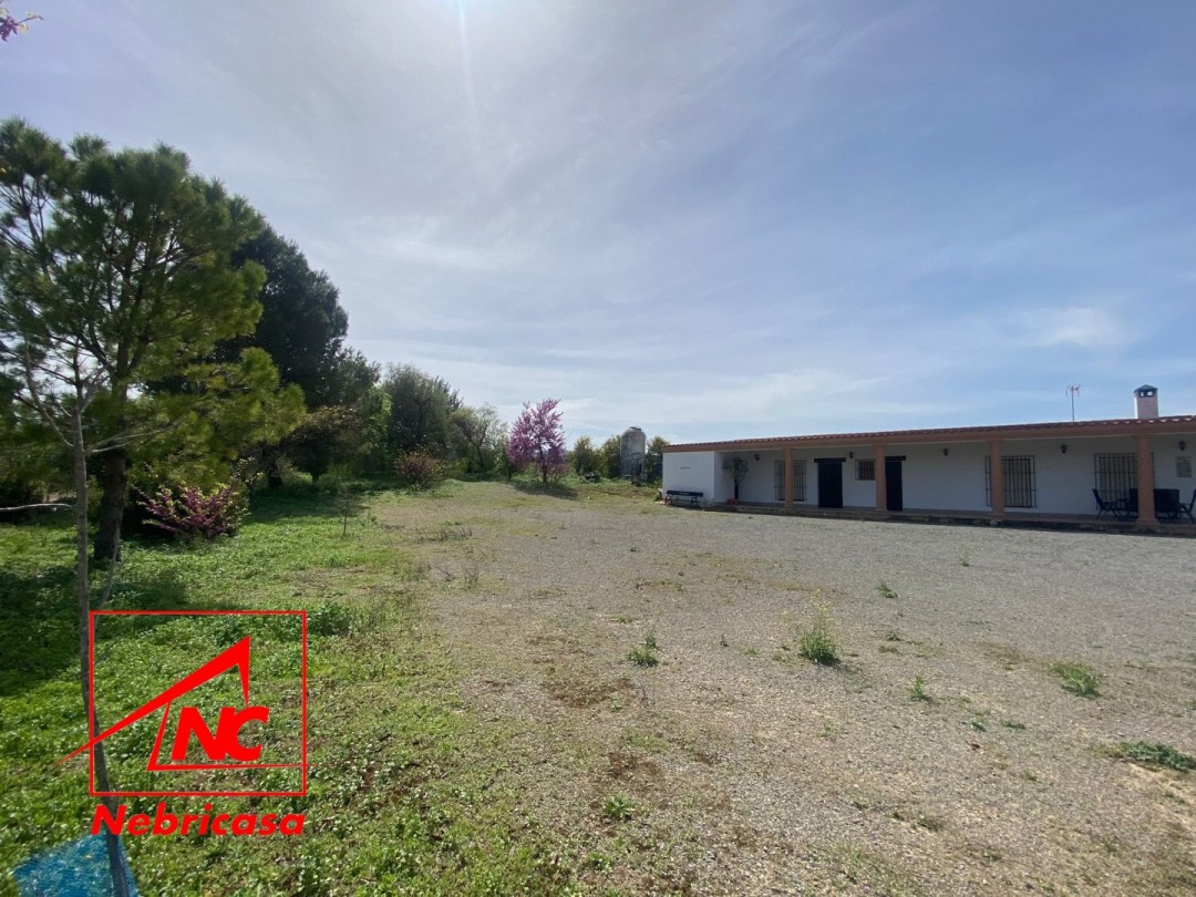 Finca en El Cuervo de Sevilla El Cubo