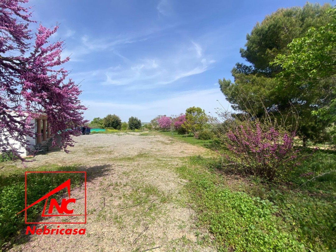 Finca en El Cuervo de Sevilla El Cubo