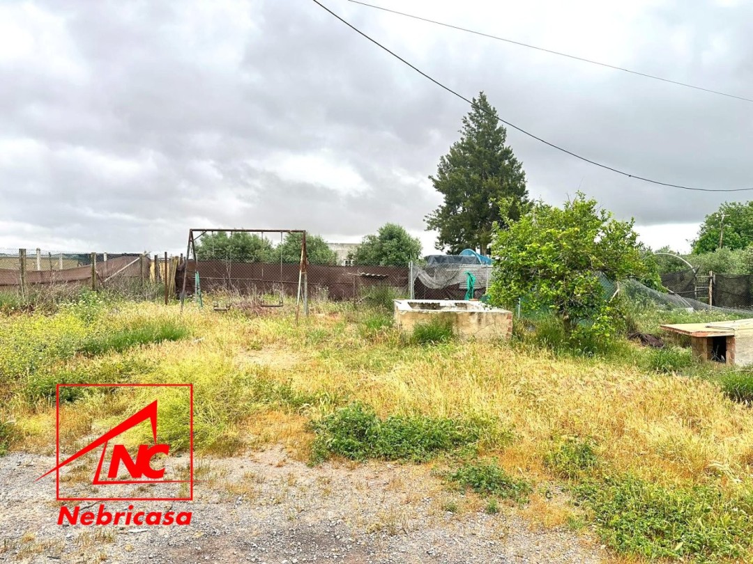 Finca en El Cuervo de Sevilla Pago Rodalabota