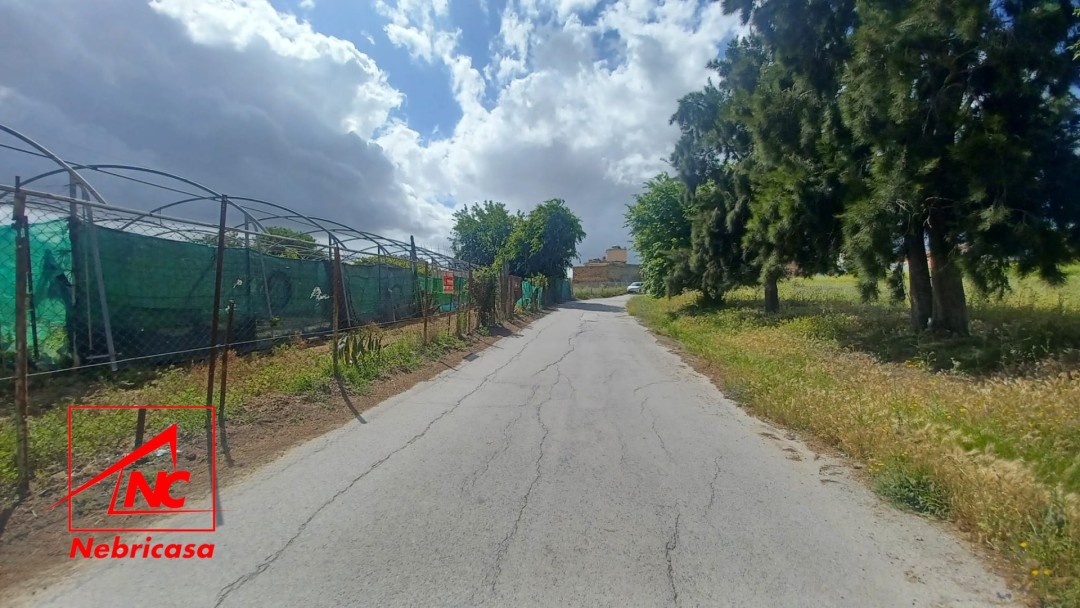 Finca en El Cuervo de Sevilla Bajo Guia