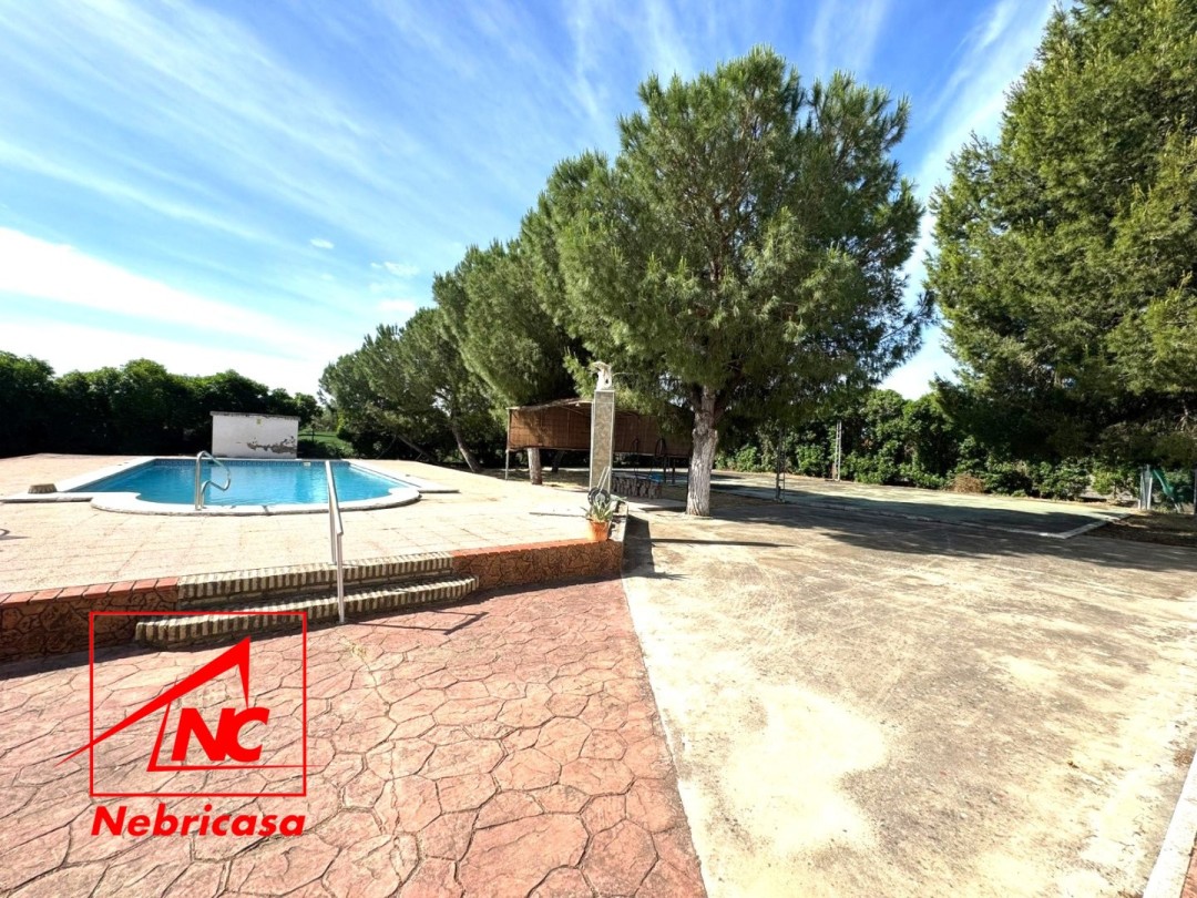 Finca en Lebrija Crta. Los Tollos