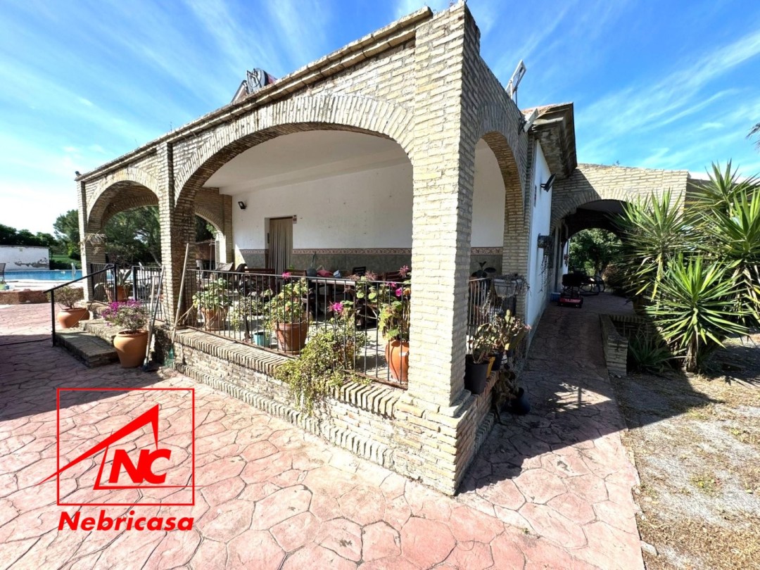 Finca en Lebrija Crta. Los Tollos