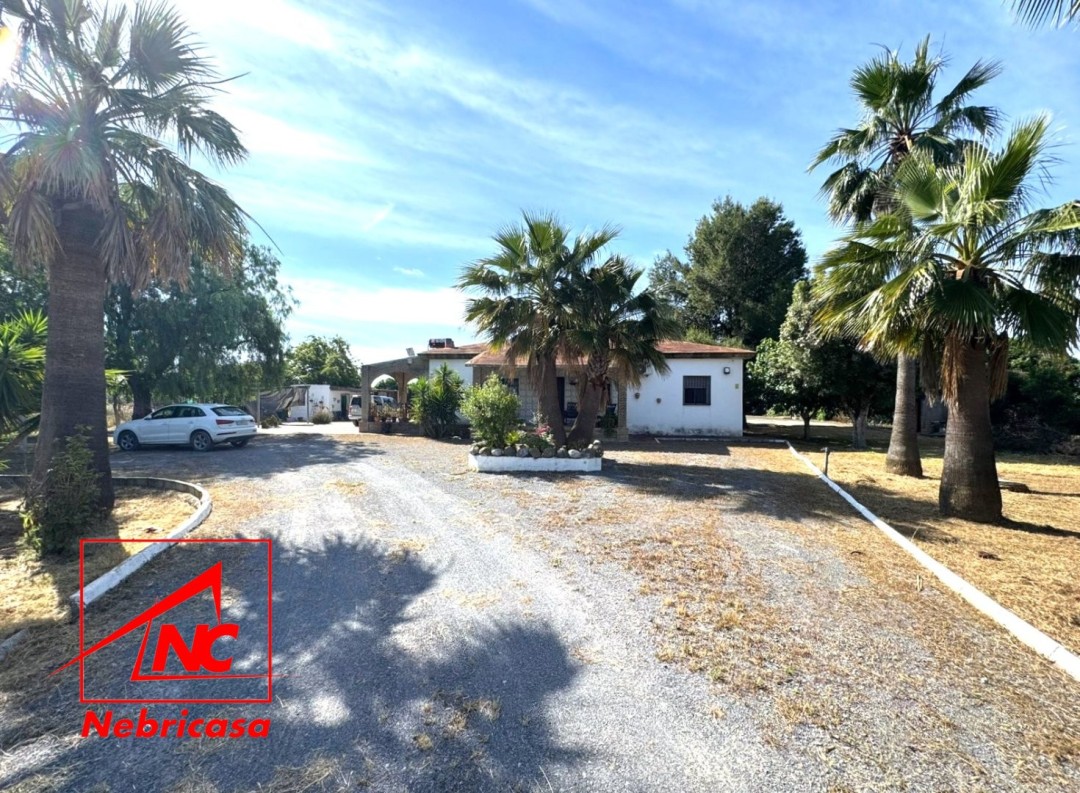 Finca en Lebrija Crta. Los Tollos