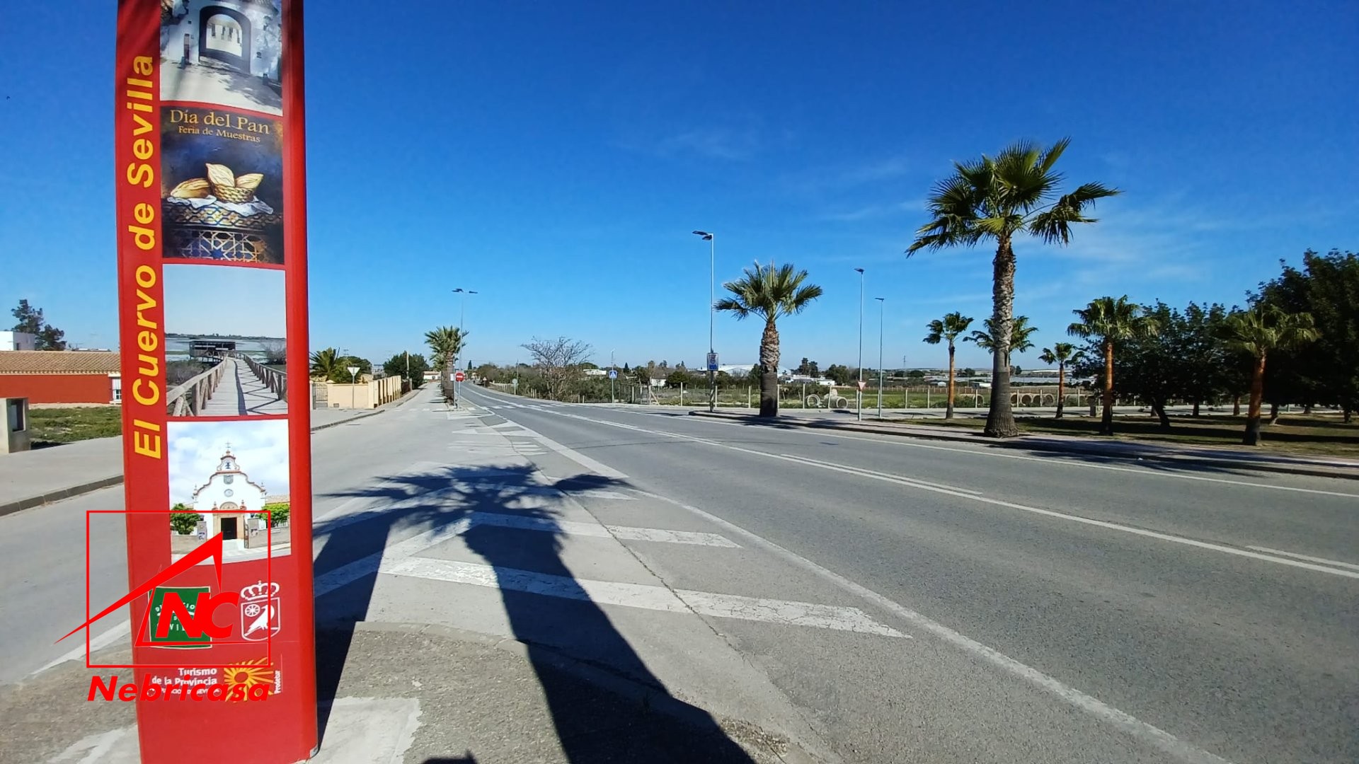 Solar en El Cuervo de Sevilla Pp5
