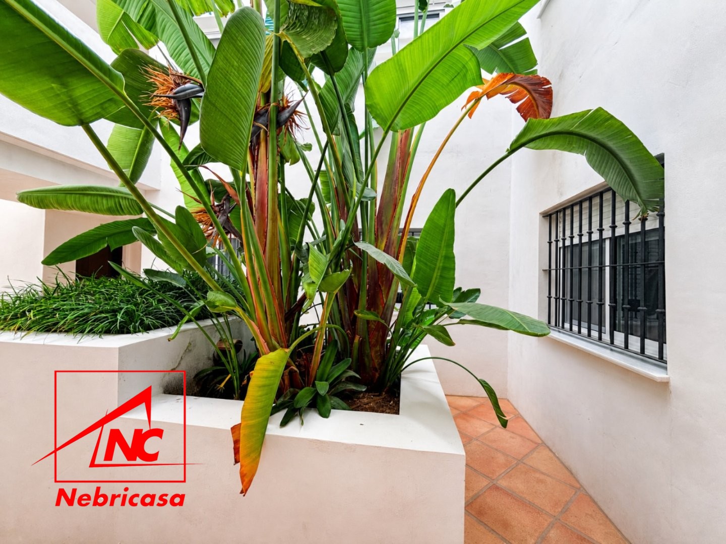 Bajo Con Jardín en Rota Costa Ballena