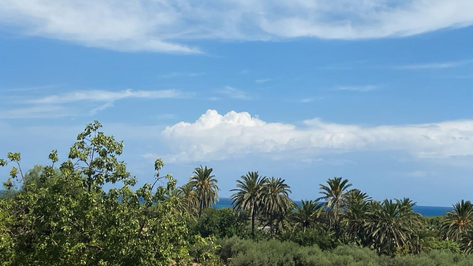 Piso en Elche/Elx La Marina