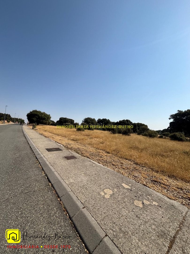 Parcela en Buenavista Cuatro Calzadas