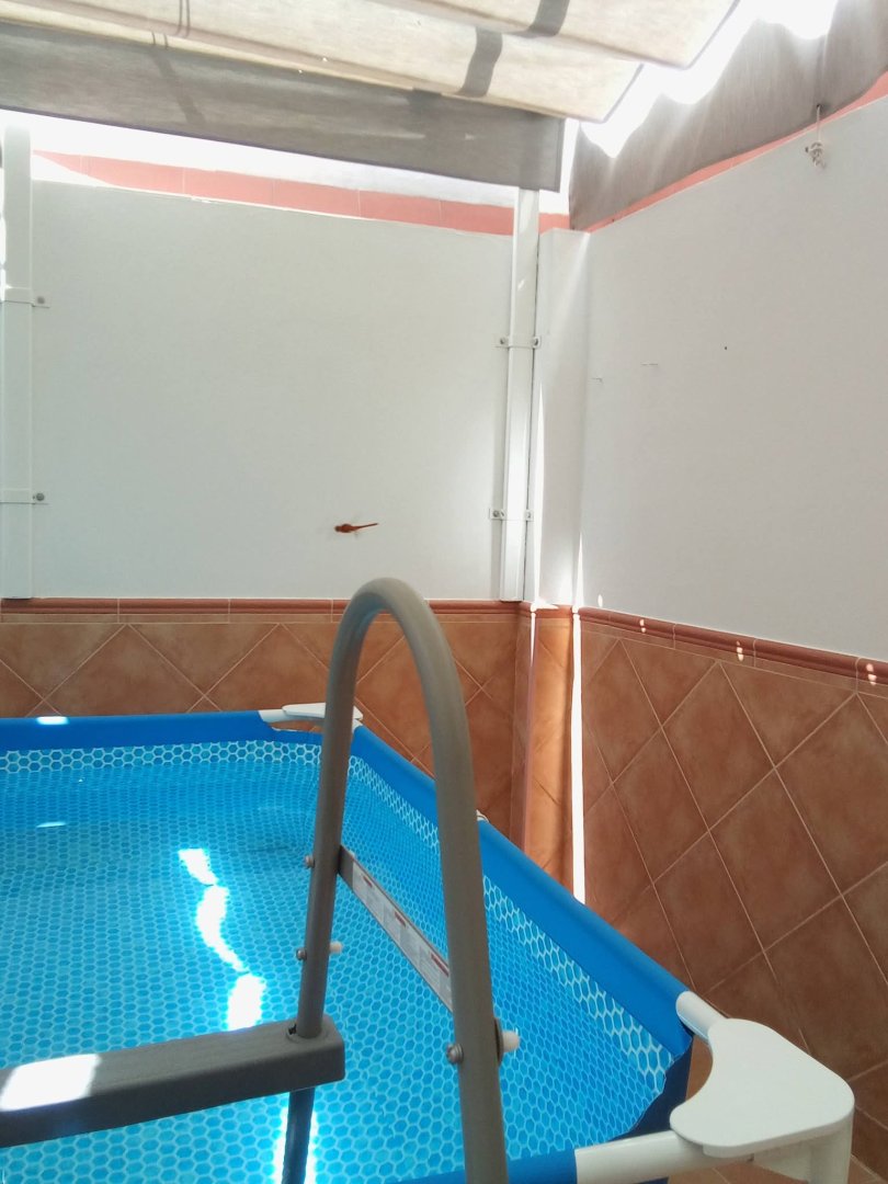 Casa en Camas