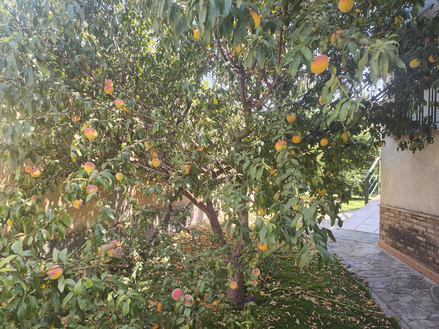 Chalet Individual en Almensilla