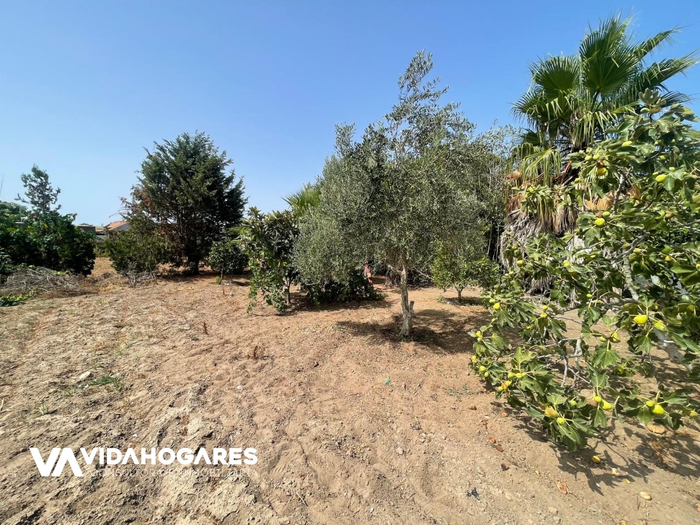 Parcela en Rota Costa Ballena, Aguadulce, Venta Los Cabales