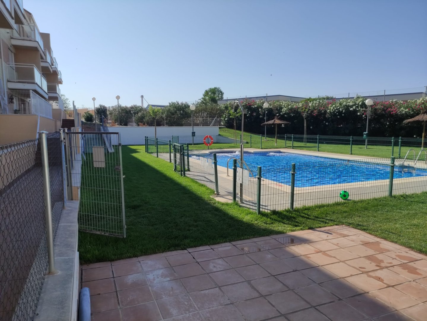 Local Comercial en Pozuelo de Calatrava Colegio