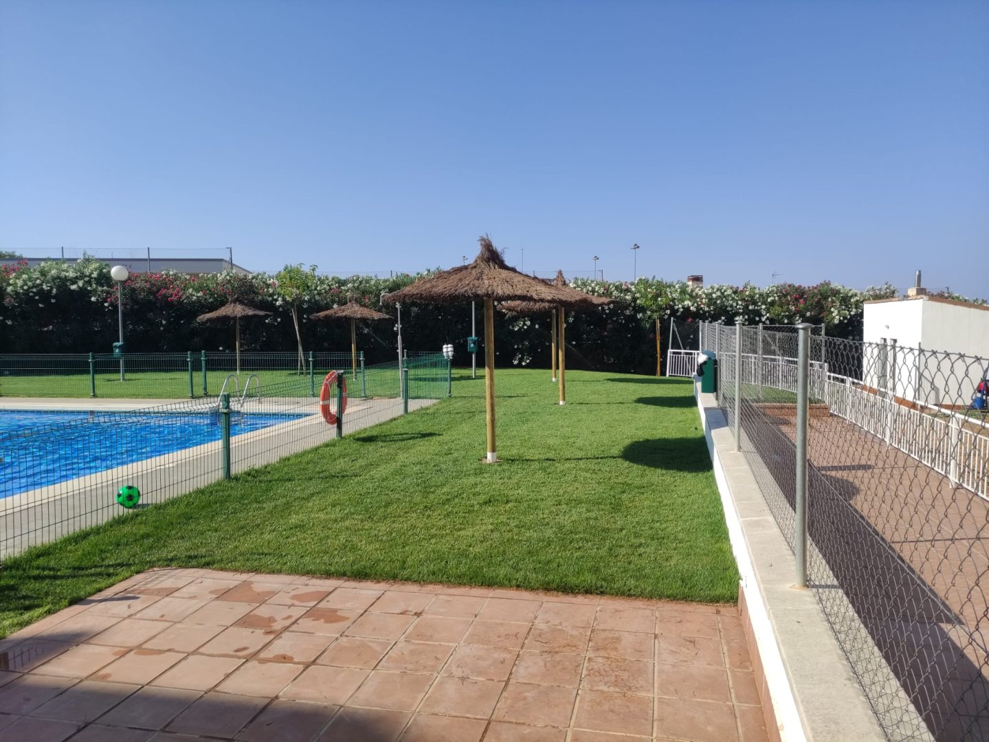 Local Comercial en Pozuelo de Calatrava Colegio