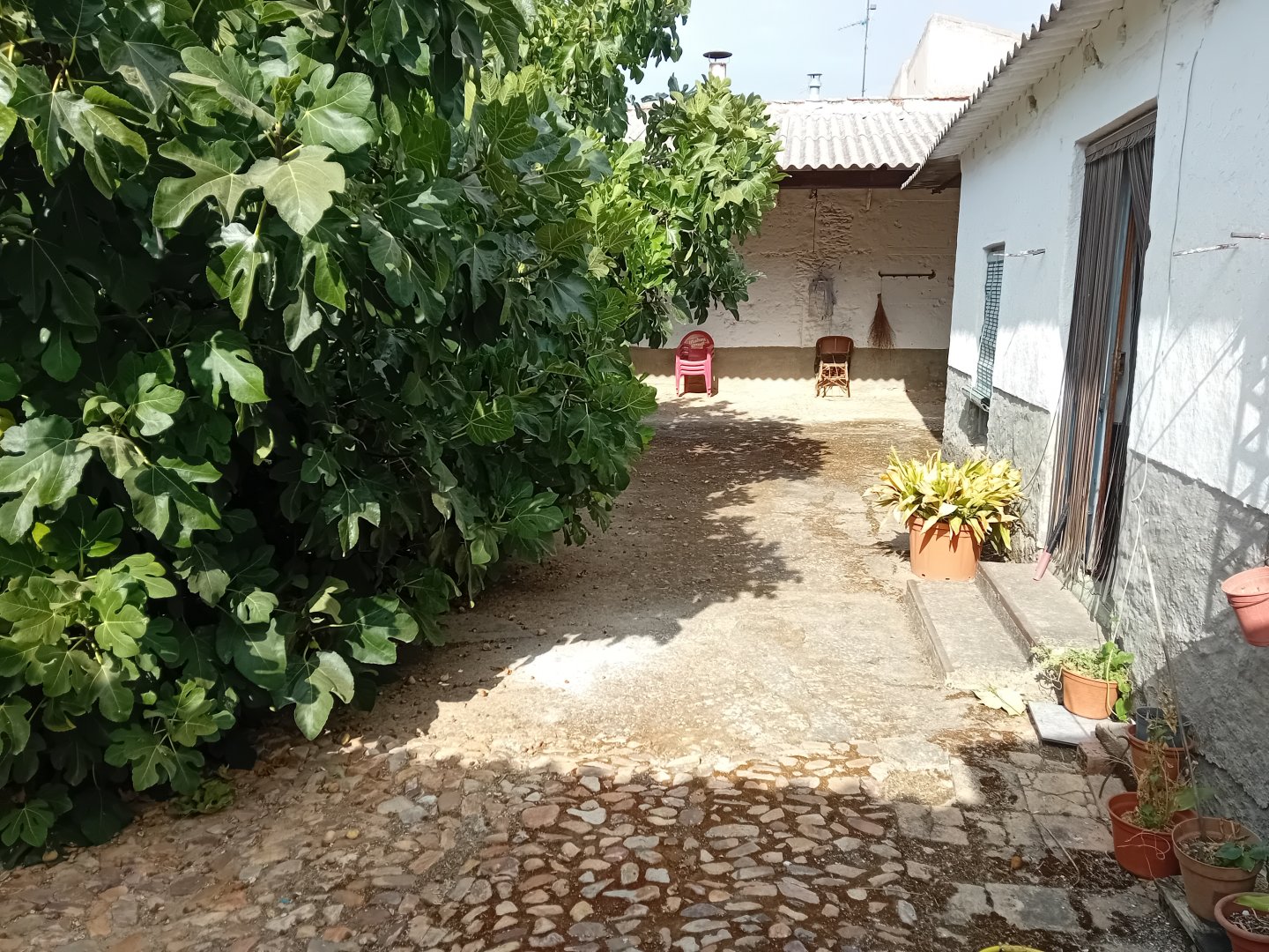 Casa Pueblo en Torralba de Calatrava