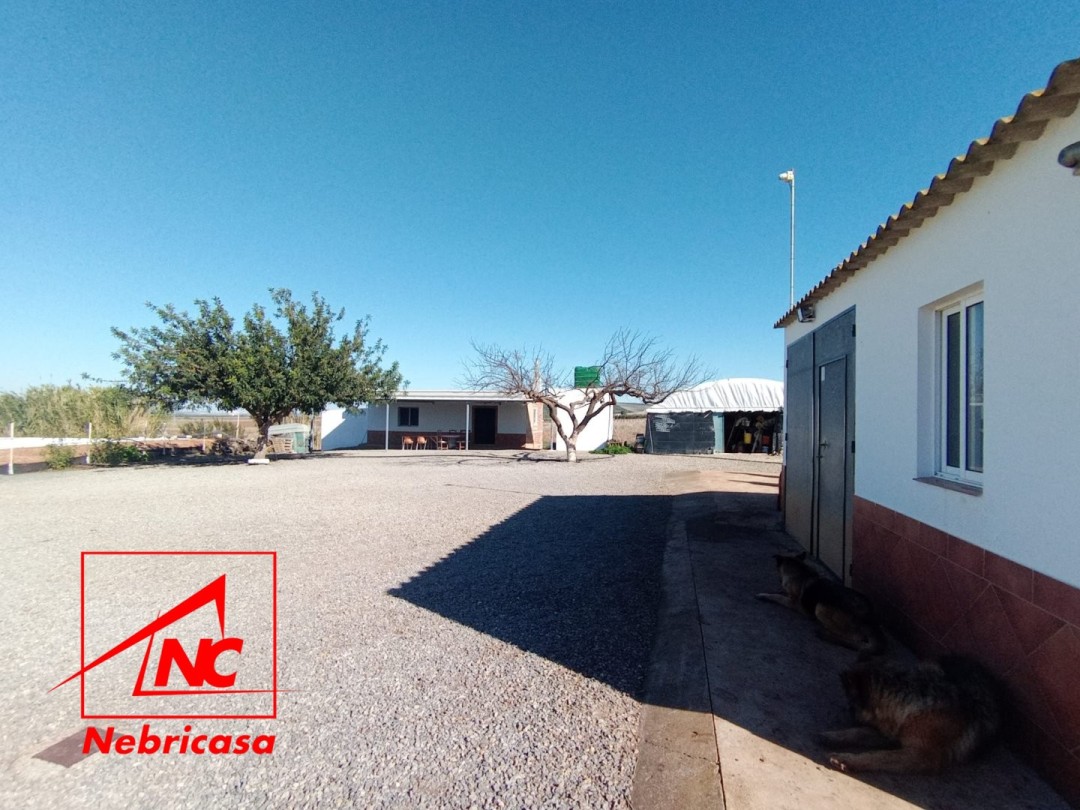 Finca · El Cuervo · 1 hab.