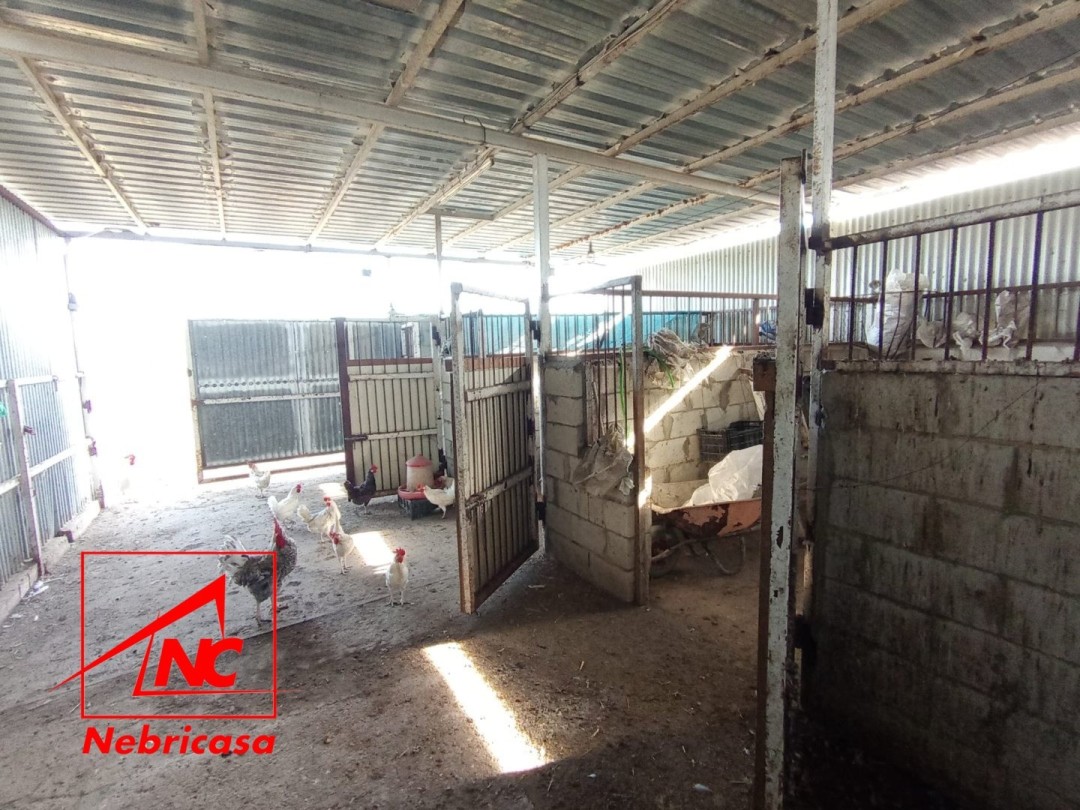 Finca · El Cuervo · 2 hab.