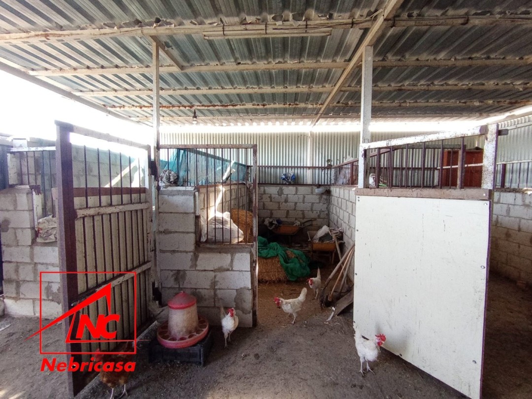 Finca · El Cuervo · 2 hab.