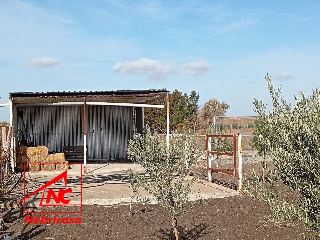 Finca · El Cuervo · 2 hab.
