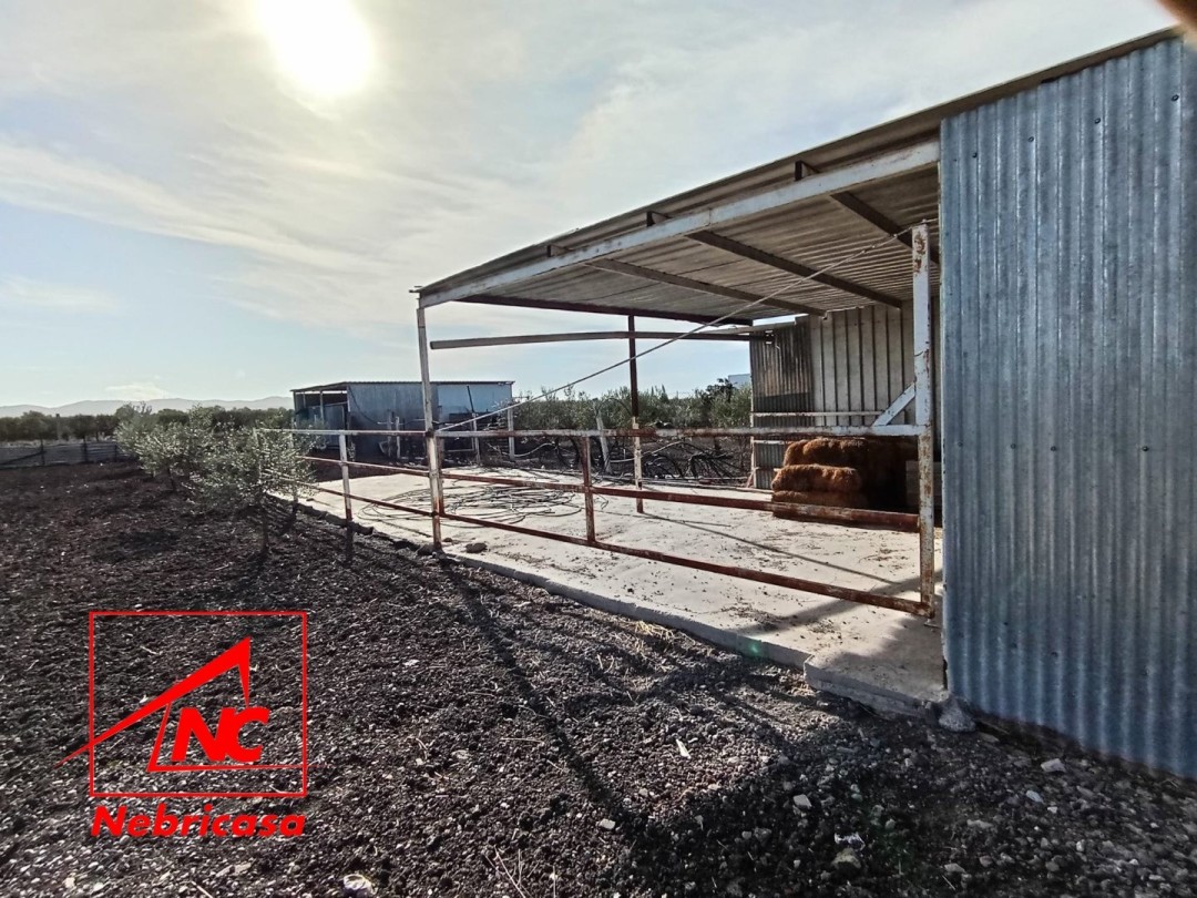 Finca · El Cuervo · 2 hab.