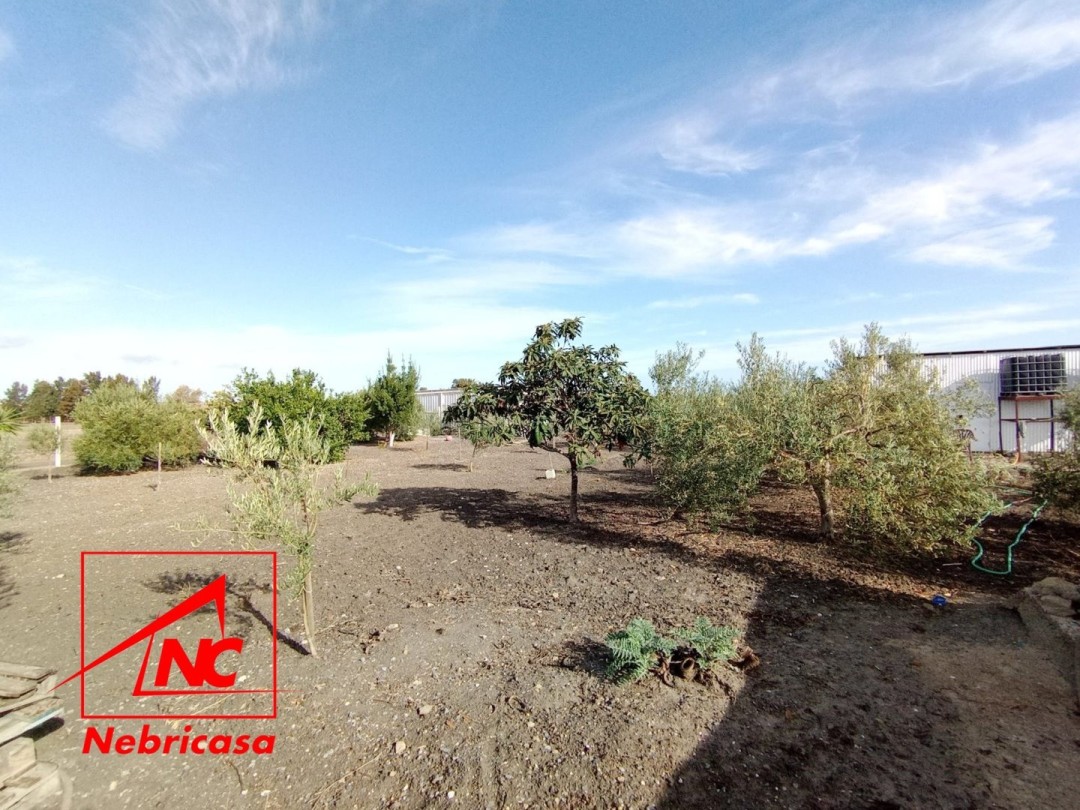 Finca · El Cuervo · 2 hab.