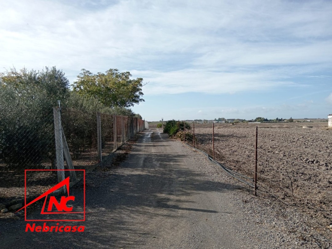 Finca · El Cuervo · 2 hab.