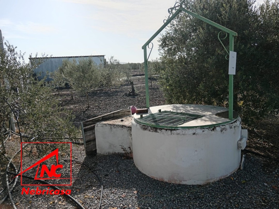 Finca · El Cuervo · 2 hab.
