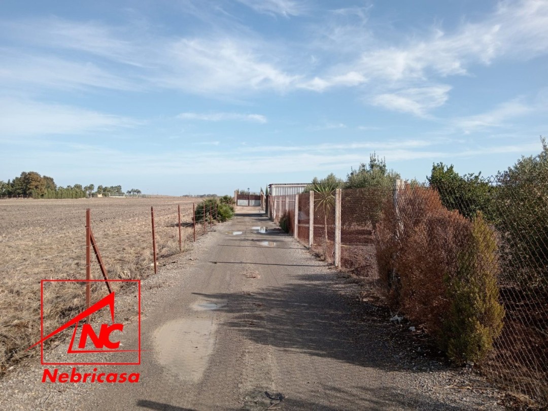 Finca · El Cuervo · 2 hab.