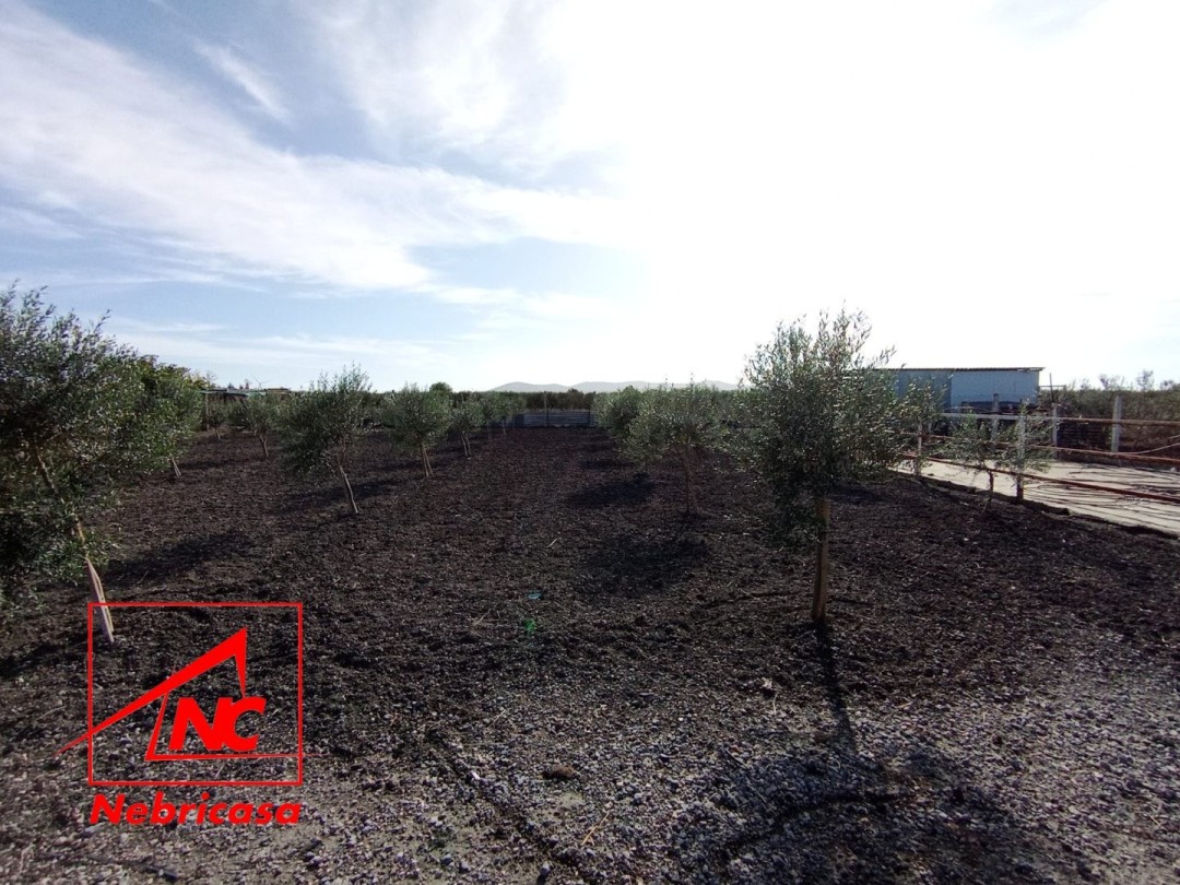 Finca · El Cuervo · 2 hab.