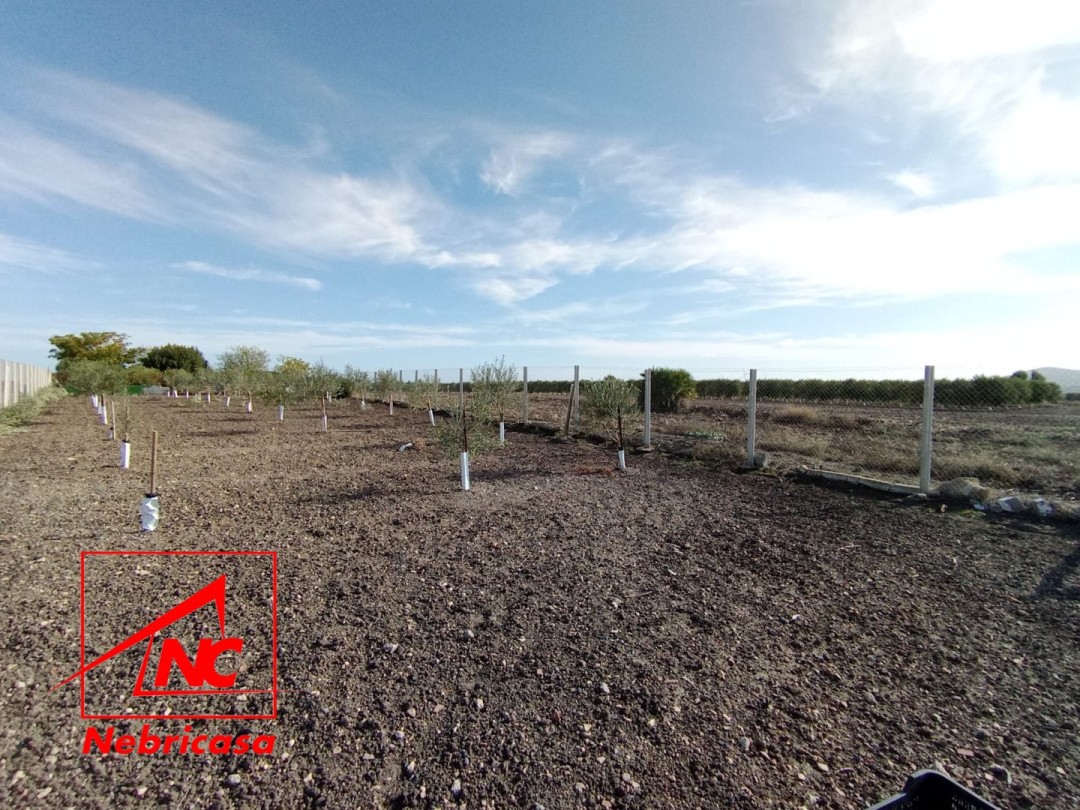 Finca · El Cuervo · 2 hab.