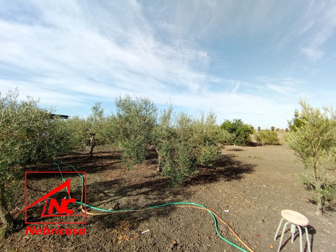 Finca · El Cuervo · 2 hab.