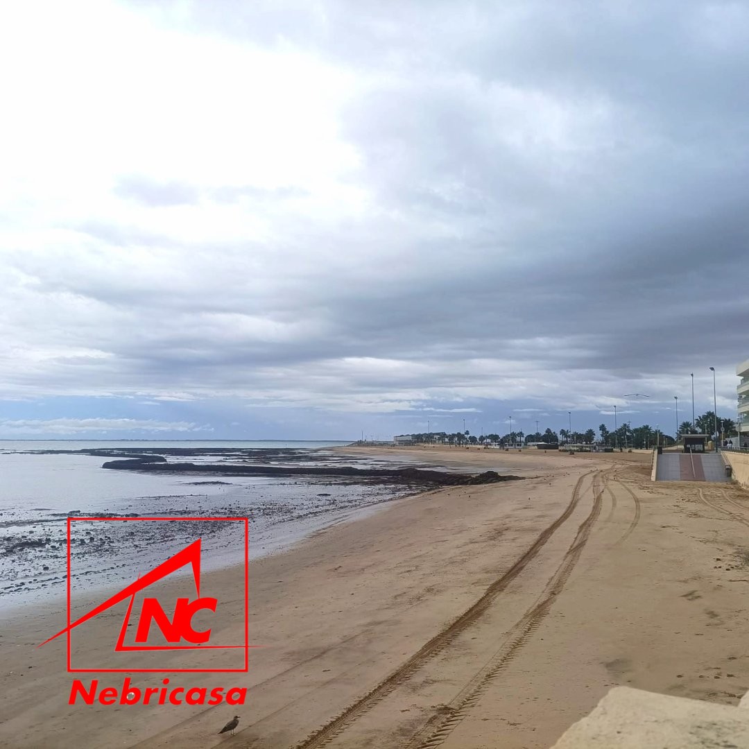 Planta Baja · Chipiona · 1 hab.