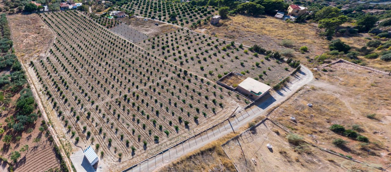 Finca Rústica en Vélez de Benaudalla Velez De Benaudalla