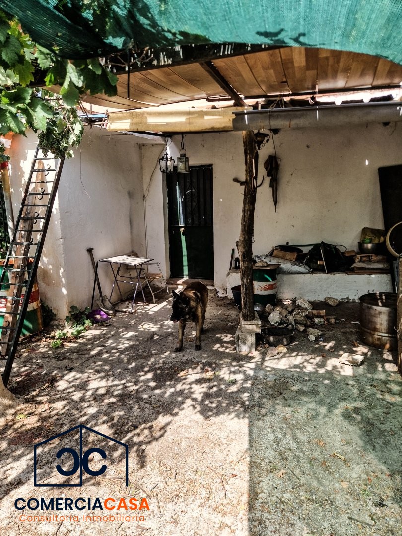 Finca Rustica en Padul