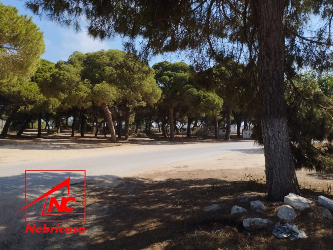Finca en Chipiona