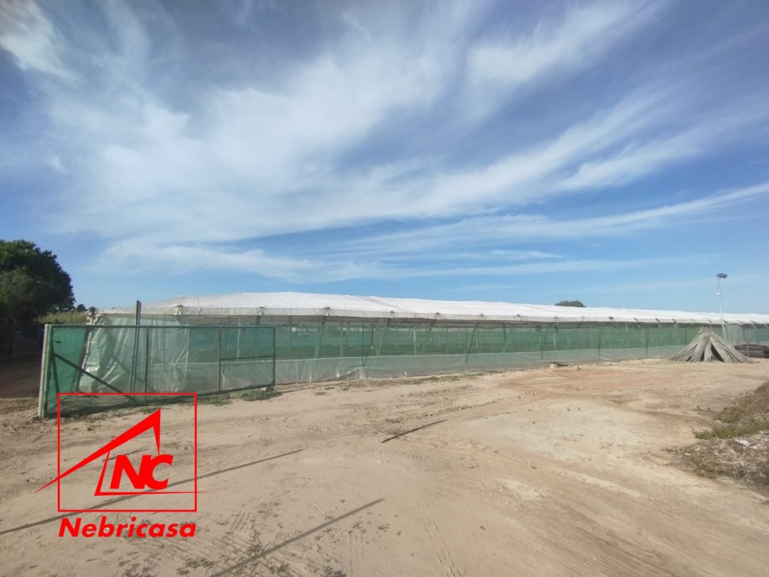 Finca en Chipiona