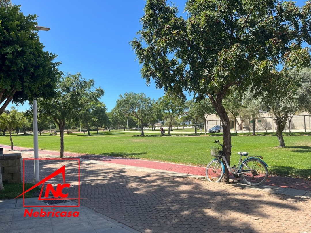 Local Comercial en Rota Costa Ballena