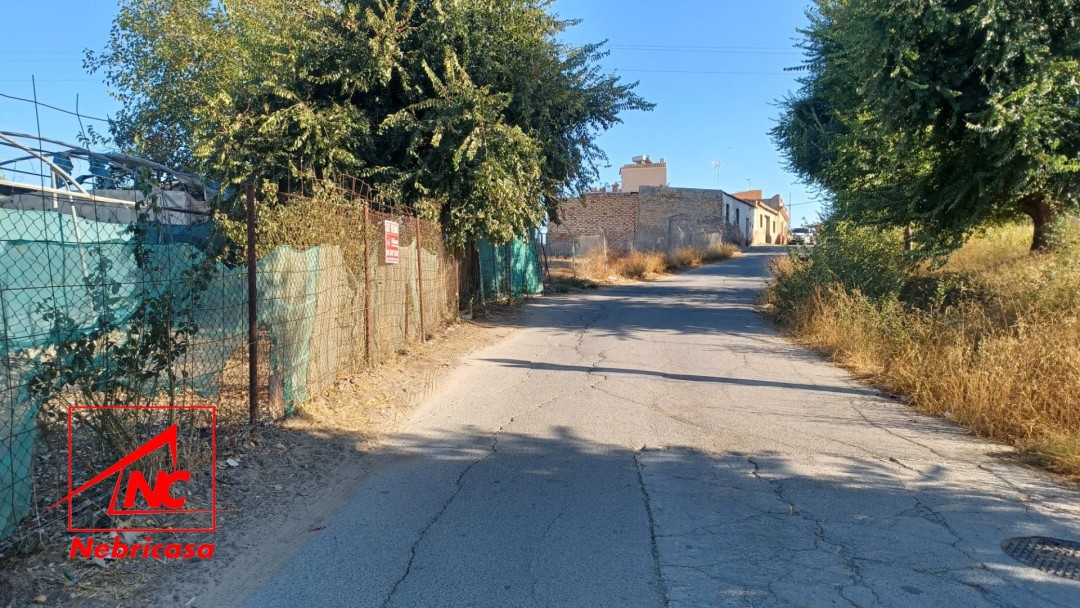 Finca en El Cuervo de Sevilla Bajo Guia