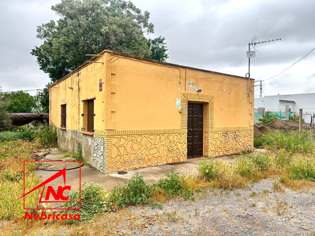 Finca en El Cuervo de Sevilla Pago Rodalabota