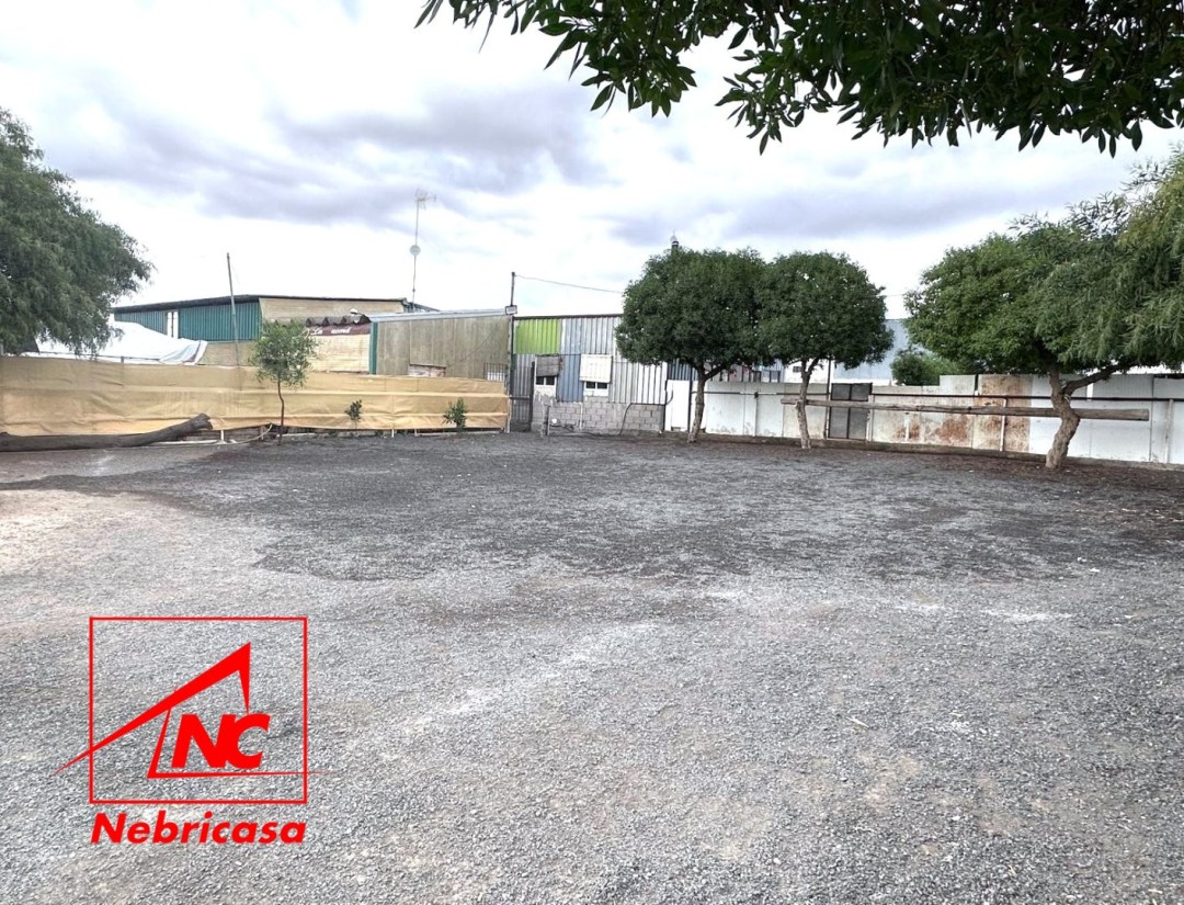 Parcela en Lebrija
