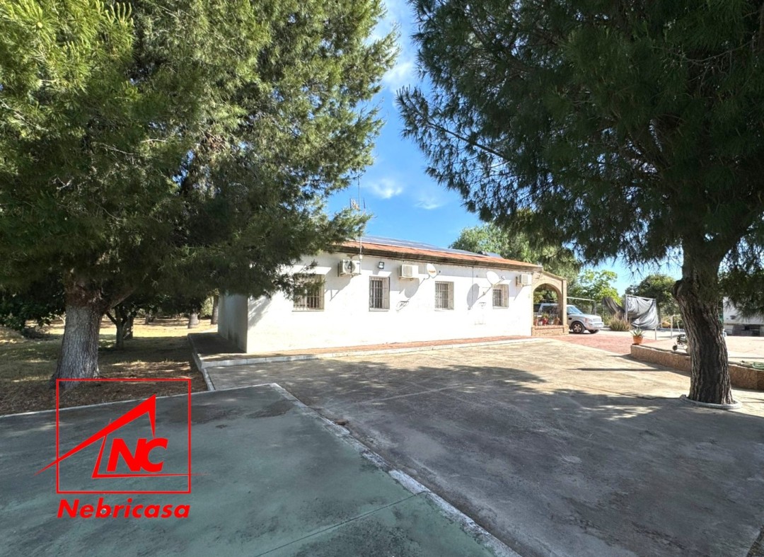 Finca en Lebrija Crta. Los Tollos