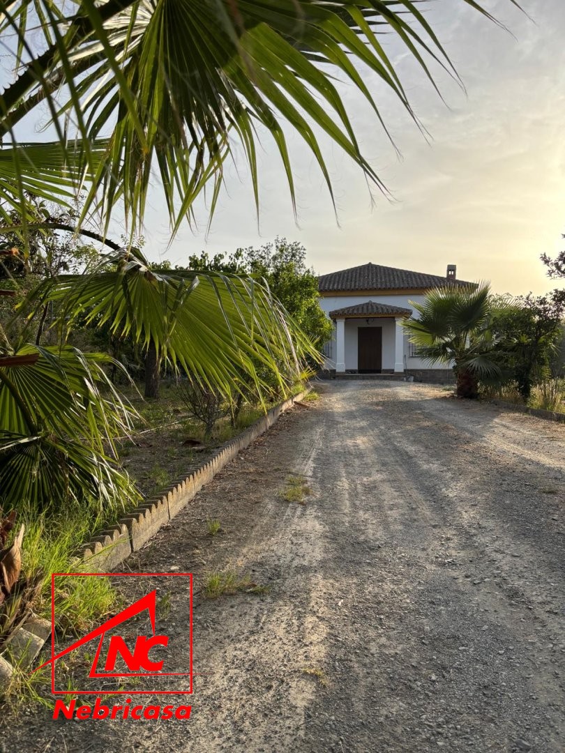 Finca en Las Cabezas de San Juan