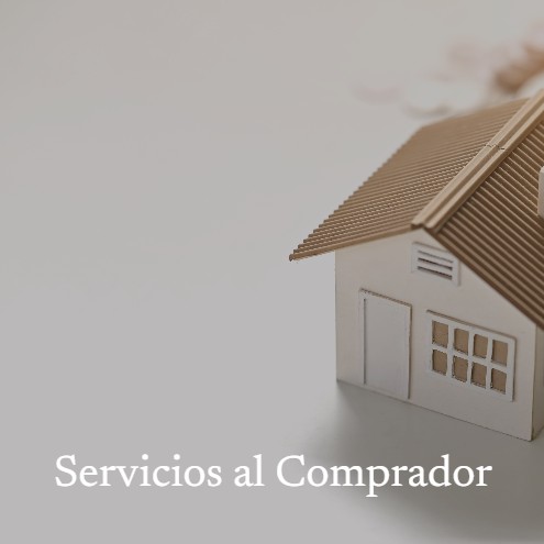 Servicios al Comprador