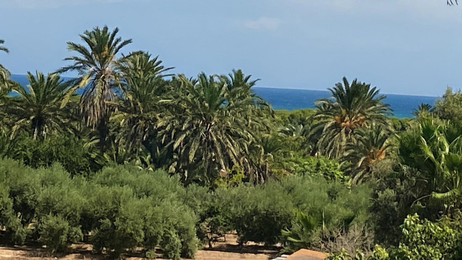Piso en Elche/Elx La Marina