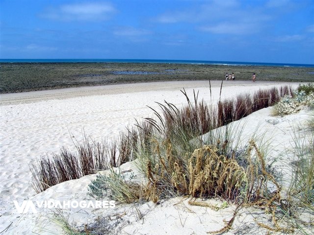 Parcela en Rota Costa Ballena, Aguadulce, Venta Los Cabales