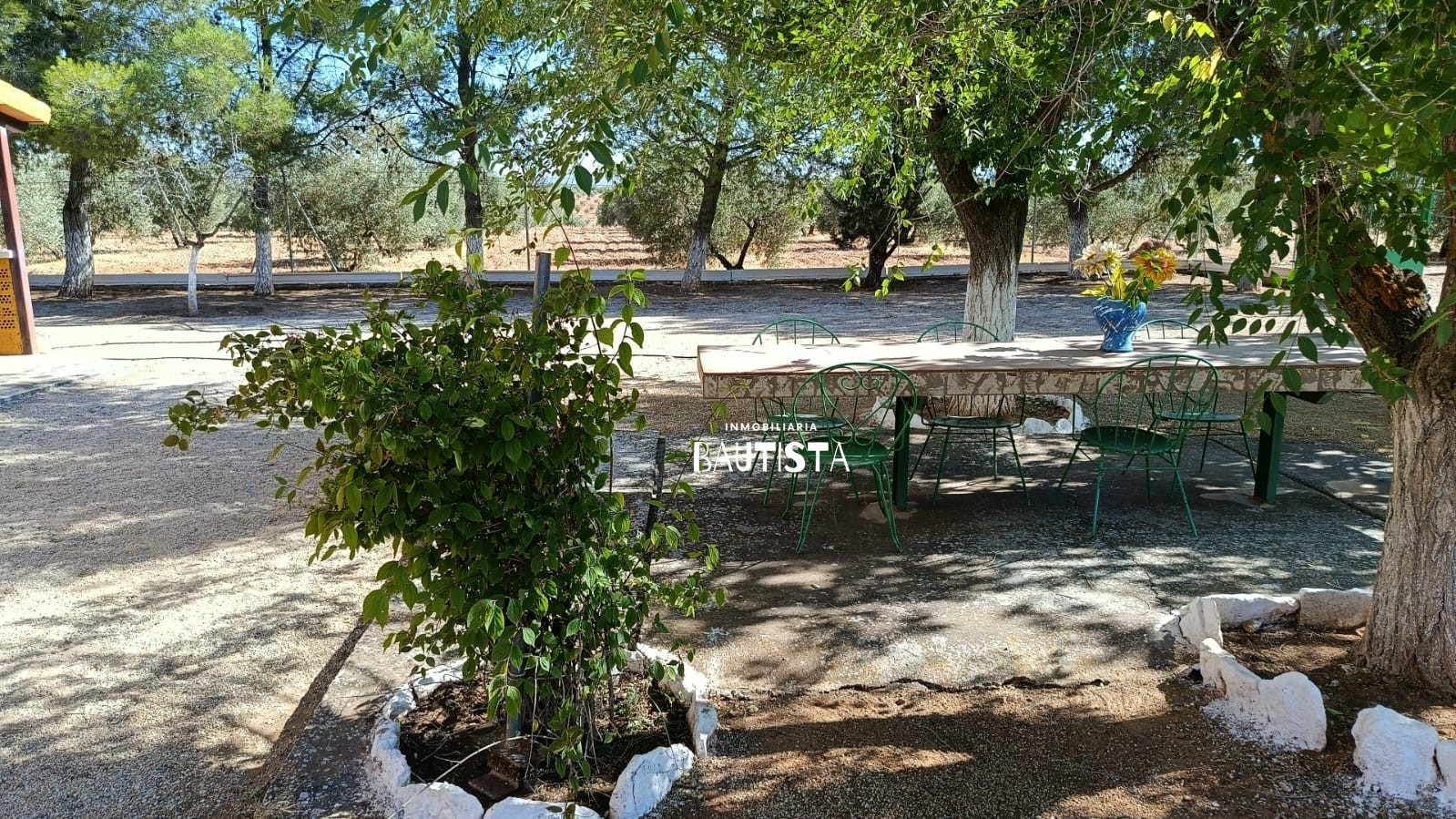 Finca En El Campo Con Casa en Valdepeñas Camino Atalayuela